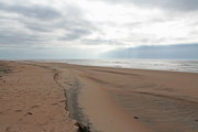 побережье Белого моря