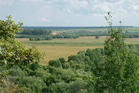 Калужская обл.