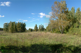 город Калуга