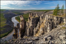таймень