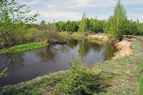 река Жиздра