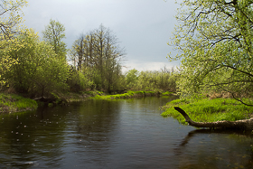 река Рессета