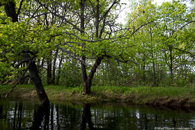 река Ресса