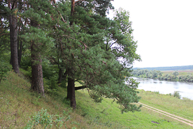 река Угра